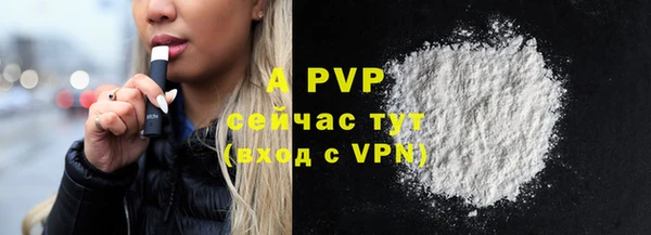 mdpv Богданович